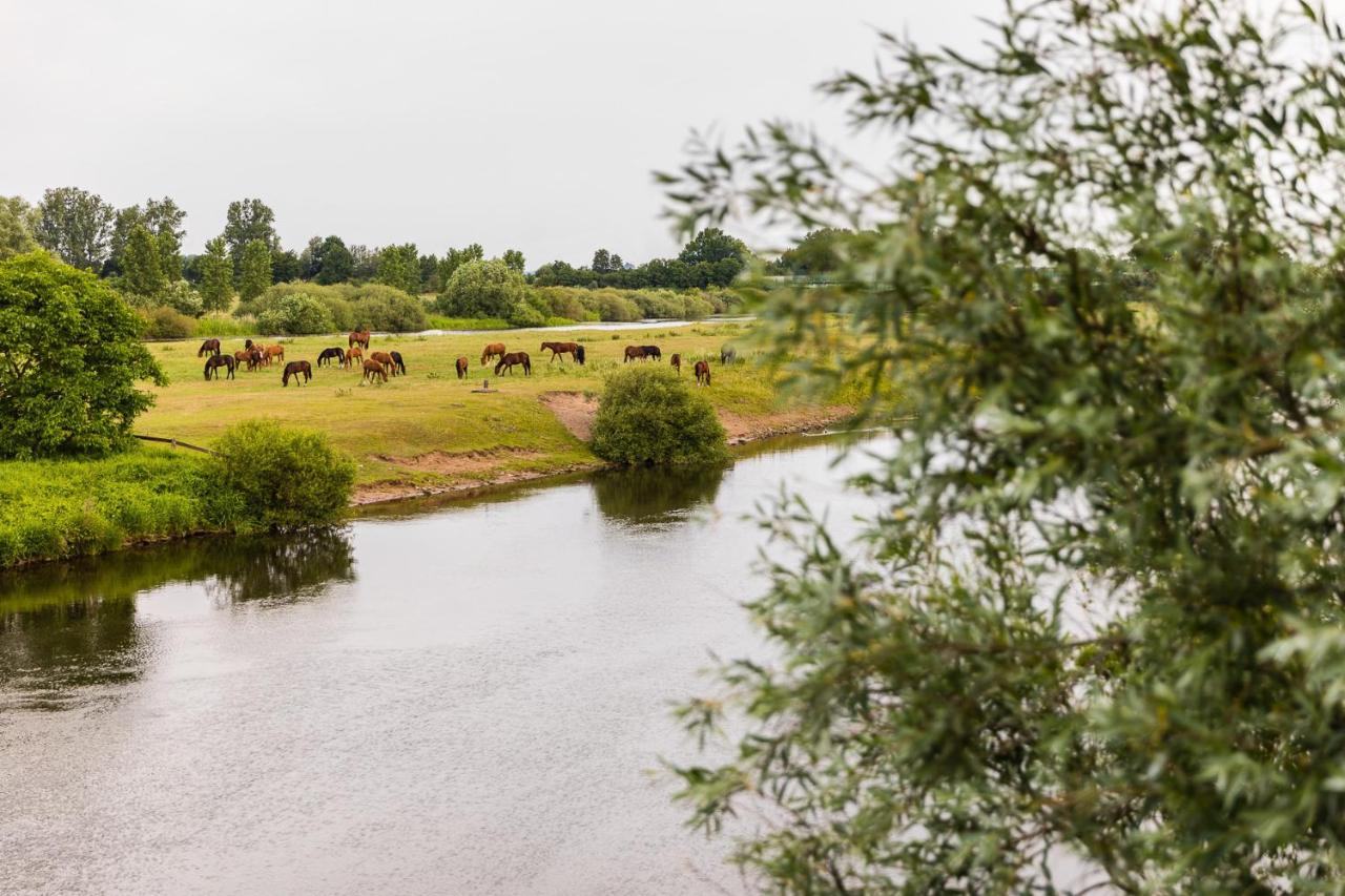 Thoeles*** Am Allerpark Verden Verden an der Aller Zewnętrze zdjęcie